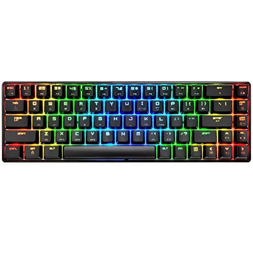 Mechanical Gaming Keyboard 18 Chroma RGB Backlit Keyboard with Type C Blue Switches 68 Keys Anti-Ghosting Wired Gaming Keyboard for Pc/Mac Gamer, Typist, Tactile(Black RGB)