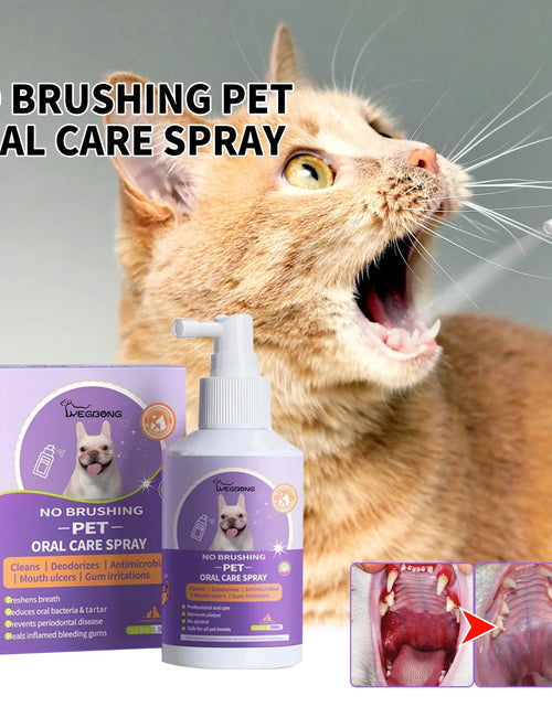 Load image into Gallery viewer, 50Ml Pet Oral Cleanse Spray Dogs Mouth Fresh Teeth Clean Deodorant Prevent Calculus Remove Kitten Bad Breath Mouth Pet Supplies
